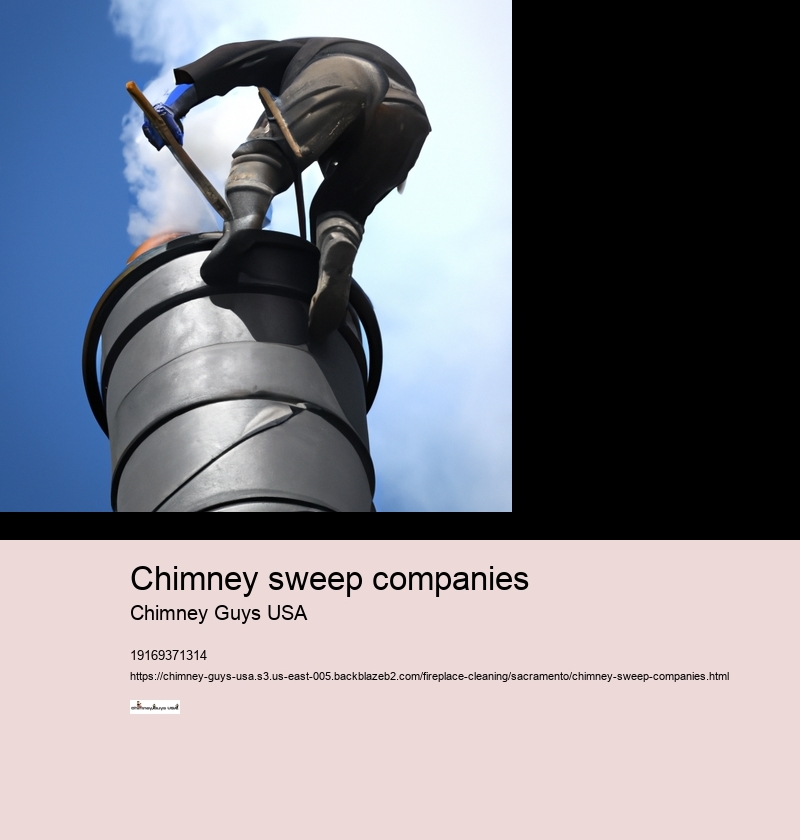 Chimney sweep companies